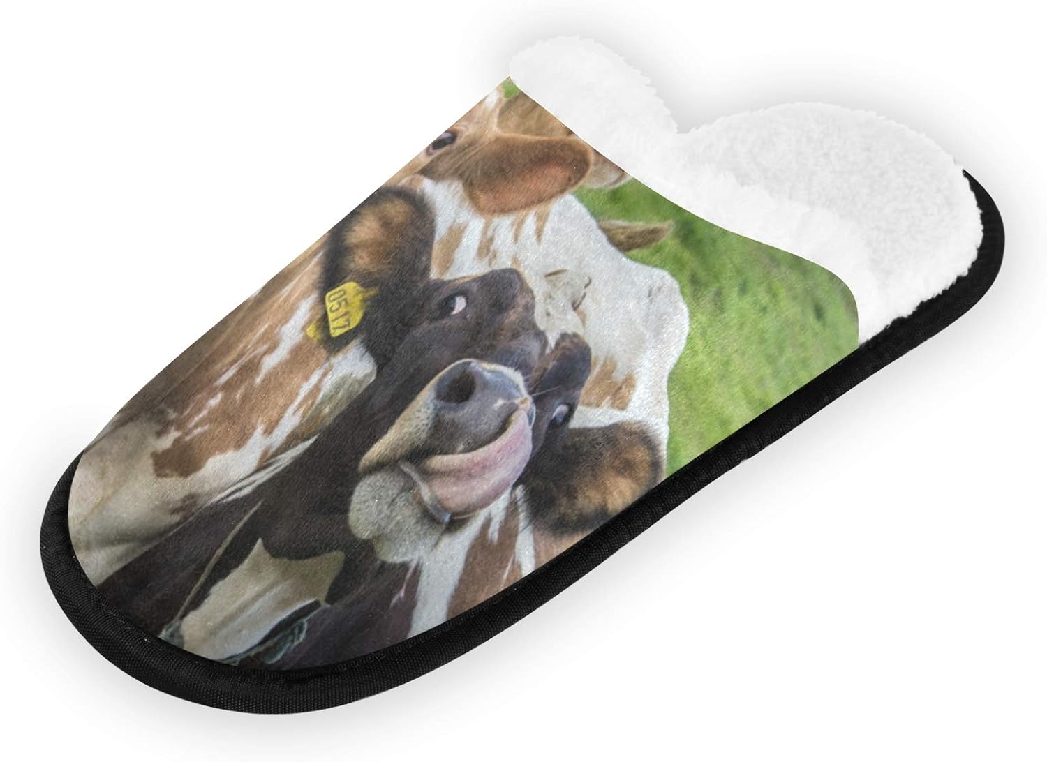 Blueangle Four Funny Cows Women's Slippers House Shoes
