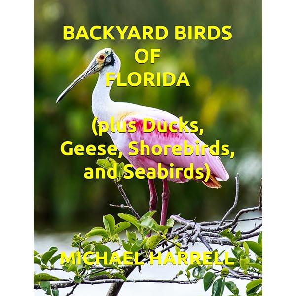 Wildlife of the Eastern Caribbean (WILDGuides): Holliday, Wildlife