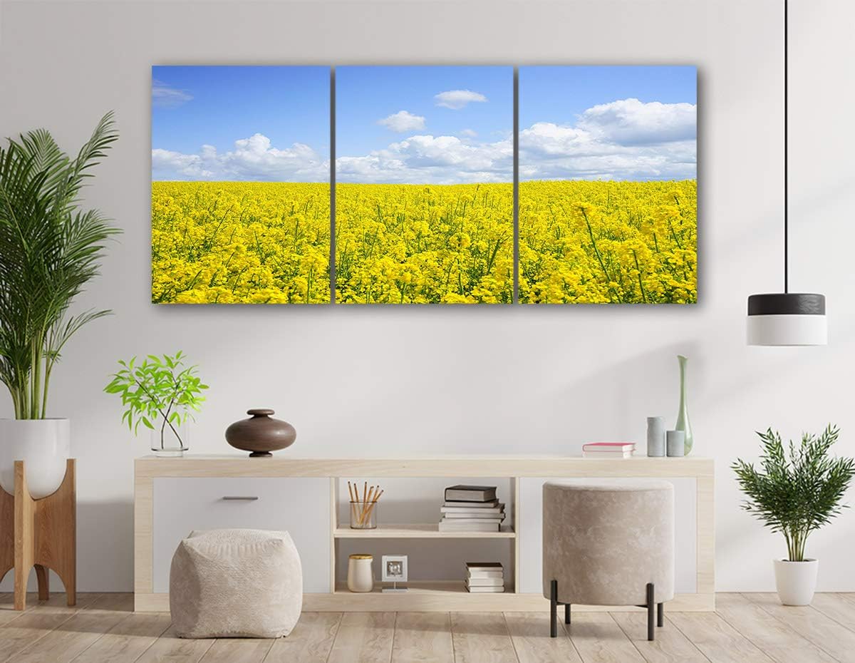 Amazon Lb 絵 画 菜の花 花畑 青空 清空 風景 自然 緑 太陽 静か グリーン 壁飾り 雰囲気 背景 子供部屋 心癒し 気分落ち着き アートパネル インテリア 壁掛けアート 額付きの完成品 30 40cm 3pcs Lbr ウォールステッカー