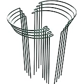 HiGift 8 Pack Plant Support Stakes, Half Round Metal Garden Plant Stake Indoor Peony Cages and Supports, Green Plant Support Ring Border for Tomato,Hydrangea,Flower Outdoor (10" Wide x 15.8" High)