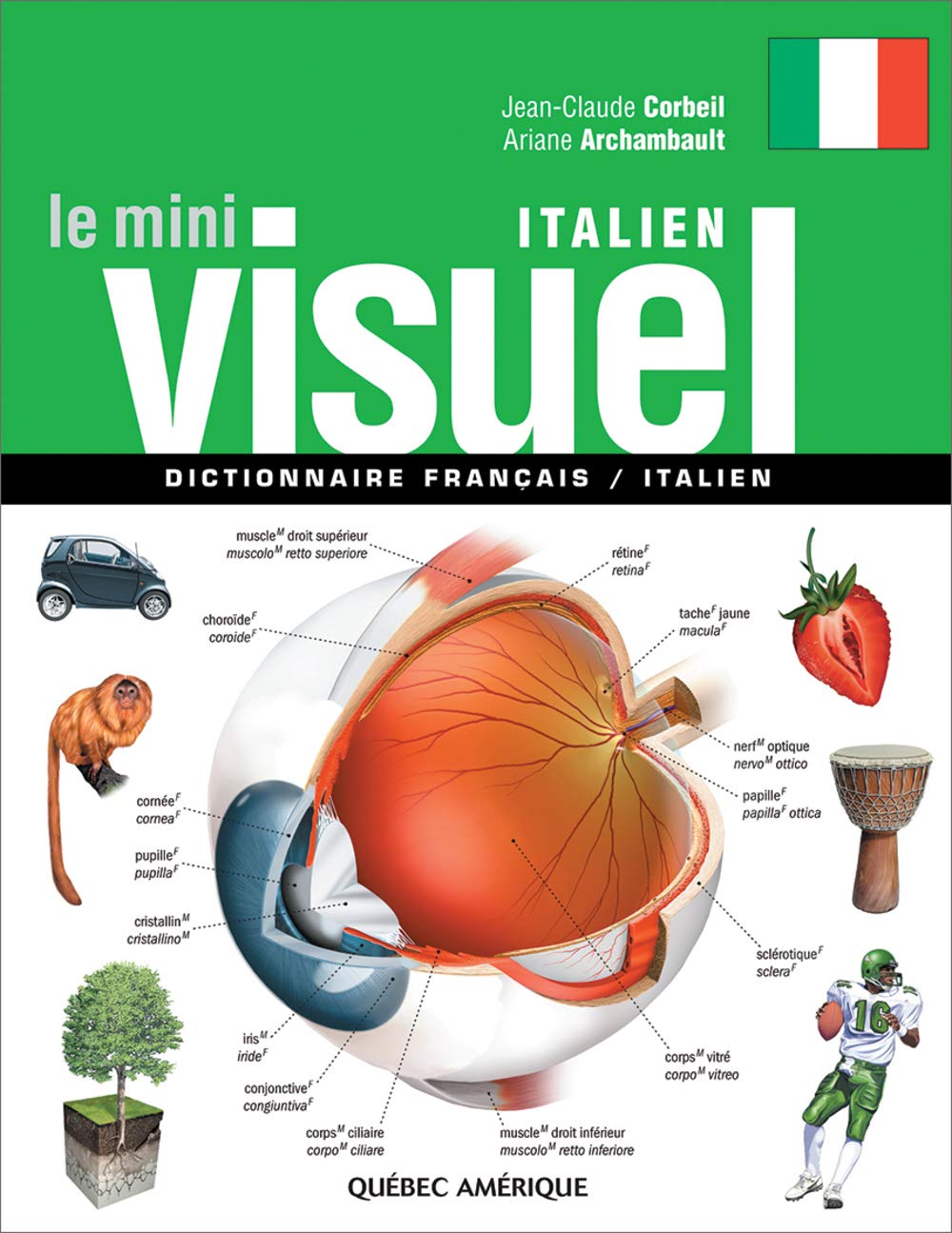 Amazon Fr Le Mini Visuel Italien Dictionnaire Francais Italien Corbeil Jean Claude Archambault Ariane Collectif Livres