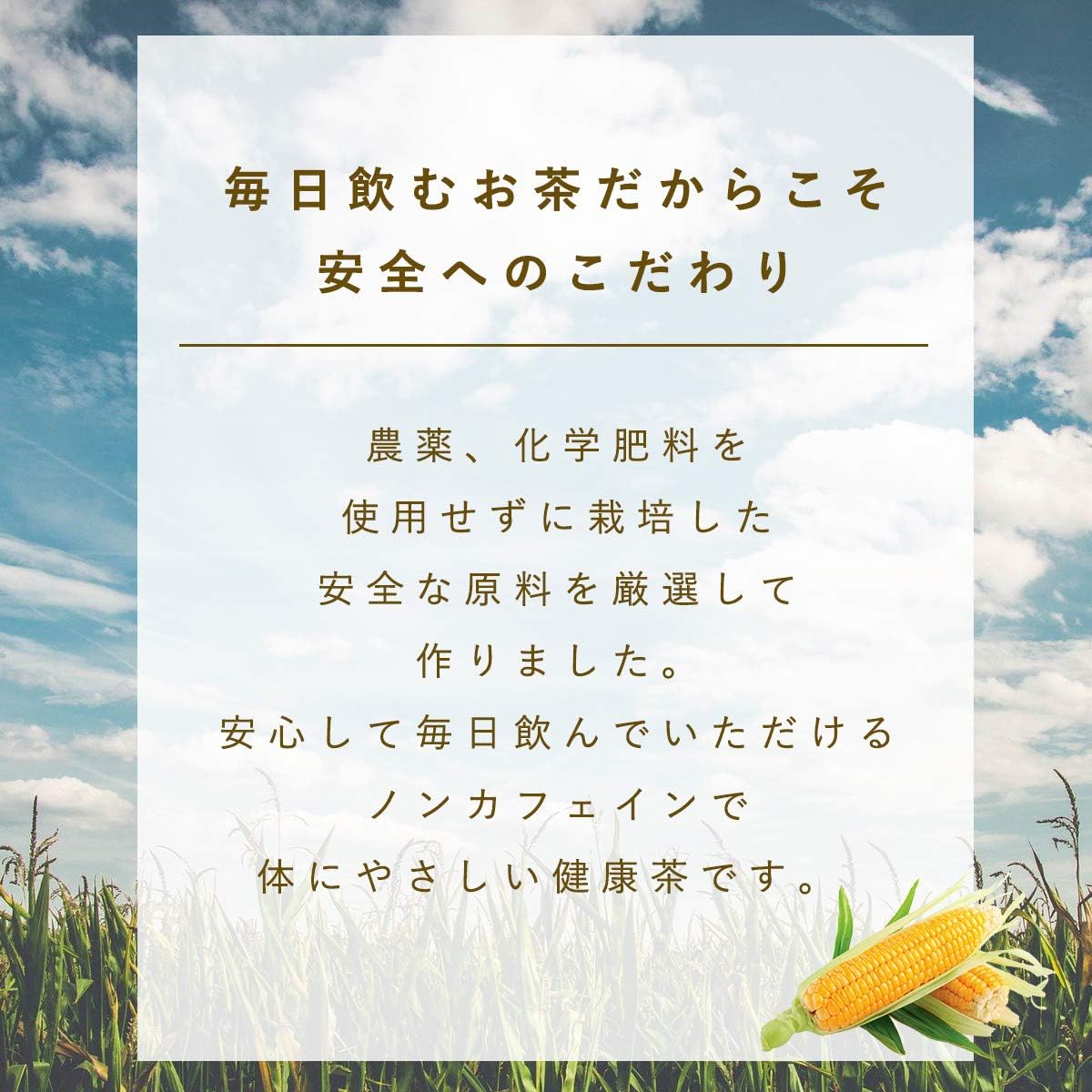 Amazon コーン茶 とうもろこしひげ茶 1個 2種類 韓国 お茶 美味しい 美容 ティーパック 水出し パック Chung Jung One お茶飲料 通販