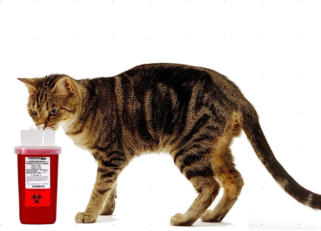 Oakridge Products 1 Quart size Sharps and Needle Container. Integrated needle unwinder: Home Improvement