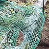 4-M-x-10-M-Anti-Bird-Protection-Net-Garden-Plant-Mesh-Netting-Fruit-Trees-Netting-with-Cable-Ties-and-U-Shaped-Garden-Pegs-Green Birds Netting Garden Green Anti Bird Protection Net for Fruit and Vegetables Plant Tree Mesh Netting Against Animals…