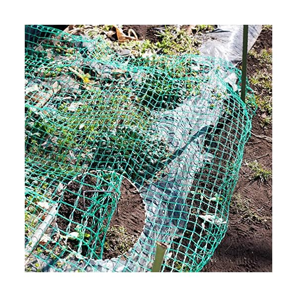 4-M-x-10-M-Anti-Bird-Protection-Net-Garden-Plant-Mesh-Netting-Fruit-Trees-Netting-with-Cable-Ties-and-U-Shaped-Garden-Pegs-Green Birds Netting Garden Green Anti Bird Protection Net for Fruit and Vegetables Plant Tree Mesh Netting Against Animals…