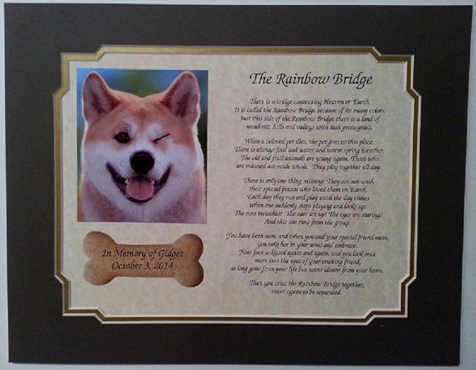 rainbow bridge gifts dogs