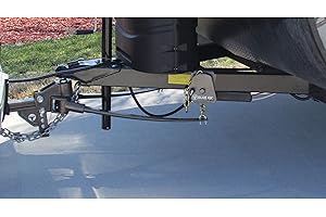 Blue Ox BXW1000-S Swaypro 1000 lb 9-9 RCVR Hitch
