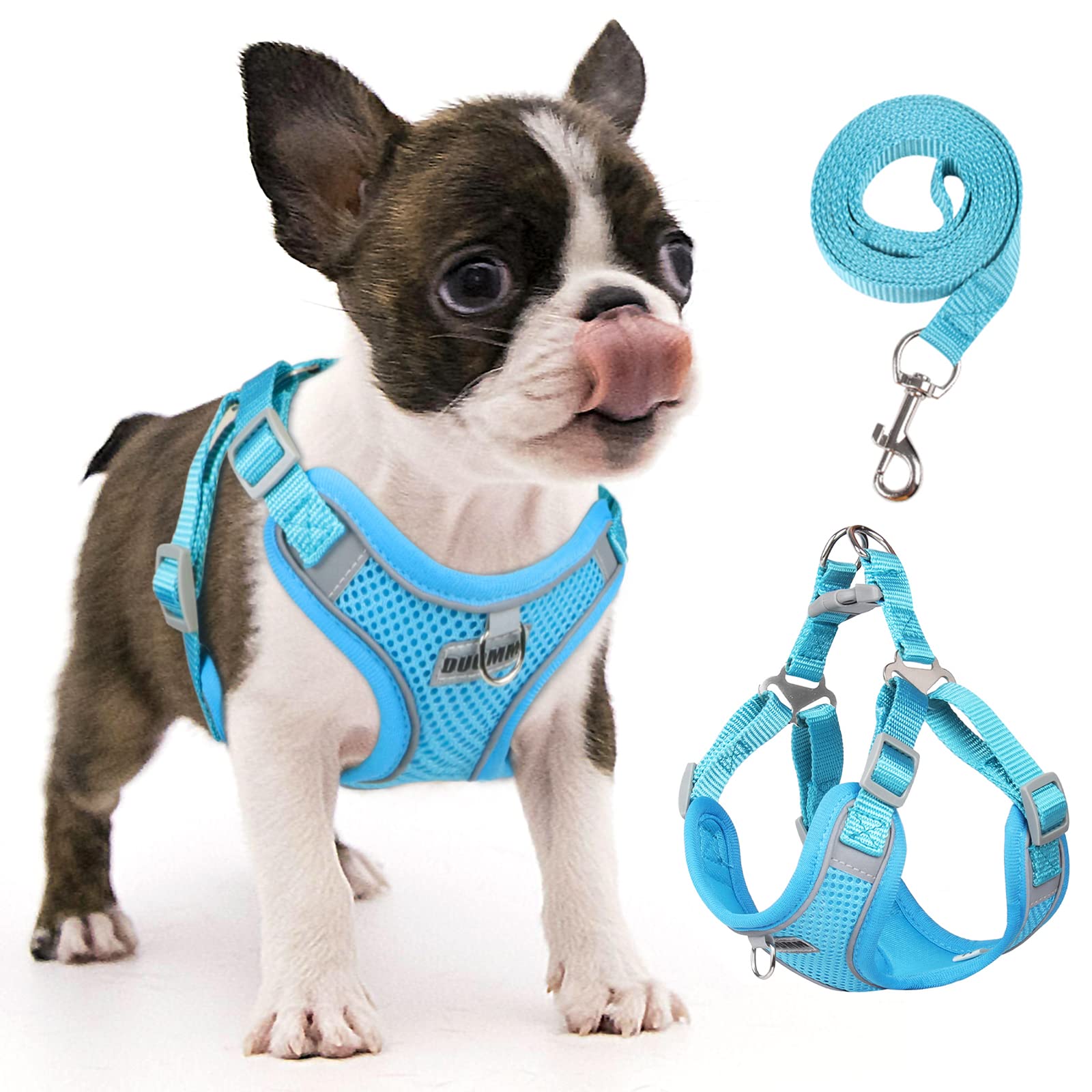 rennaio Dog Harness No Pull, Adjustable Puppy Harness with 2 Lead Clips, Ultra Breathable Padded Dog Vest Harness, Reflective Dog Harness and Lead Set for Small and Medium Dogs (Cerulean, S)