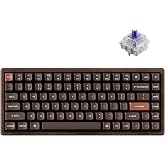 Keychron K2 HE Wireless 2.4 GHz &amp; Bluetooth QMK Custom Keyboard | Rapid Trigger with Hall Effect Gateron Double-Rail Magnetic Switch RGB Compatible with Mac Windows Linux (All-Wood)