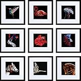 HEART ART 10x10 Picture Frame Set of 9,Display