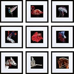HEART ART 10x10 Picture Frame Set of 9,Display