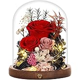 Large Preserved Flowers with Card&Box-Flowers for Delivery Prime,Eternal Rose with Lights,Roses in Glass Dome,Romantic Gift for Her,Decoration, Fresh Rose Flowers for Mom, Birthday, Anniversary (Red)