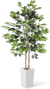 YOLEO 5.5ft Ficus Tree with White Planter Indoor Decorative Plant