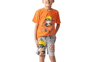 Bioworld Dragon Ball Z Anime Heroes Boy's Graphic Tee And Shorts Set