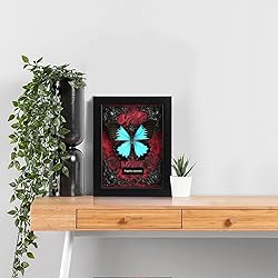 Real Butterfly Framed Butterfly Taxidermy