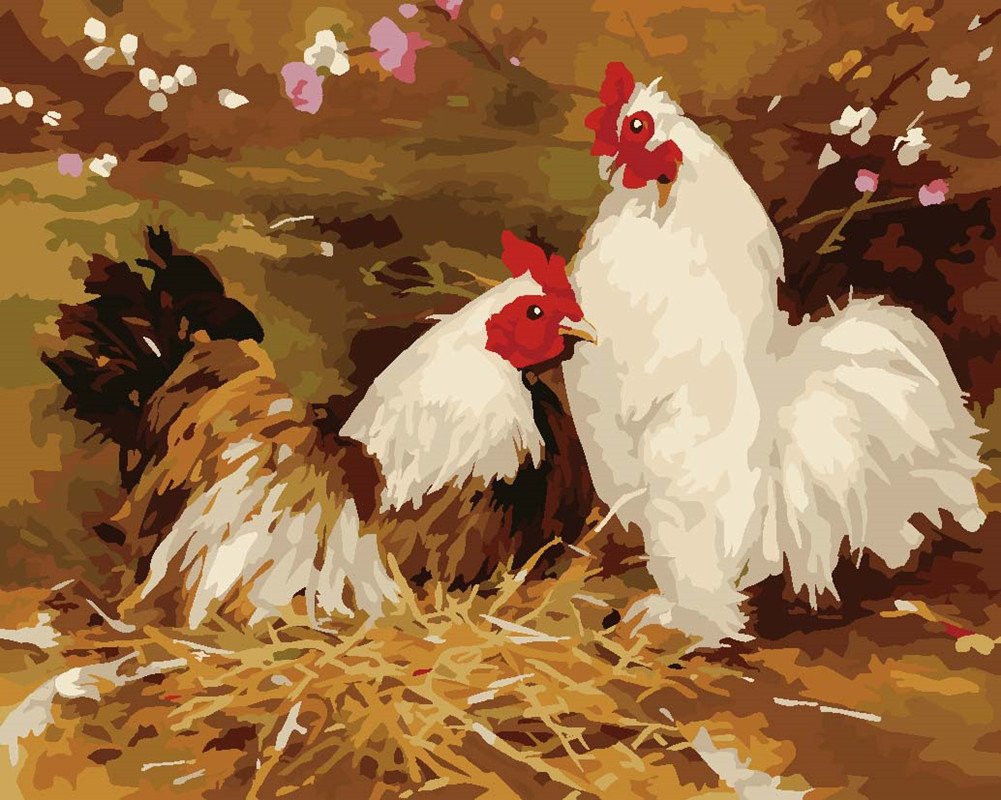 Rooster Paint By Number Kits • Paint By Number For Adults