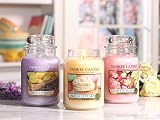 Yankee Candle Vanilla Cupcake Medium Jar Candle 75 Hr Burn Time view 8