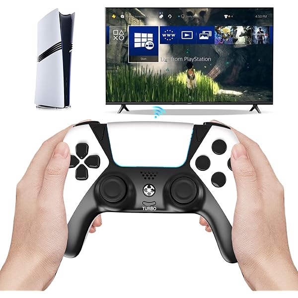 PlayStation - topwater PS5 Amazon.com: Riccky - Mortty Custom PS-5 Controller Wireless