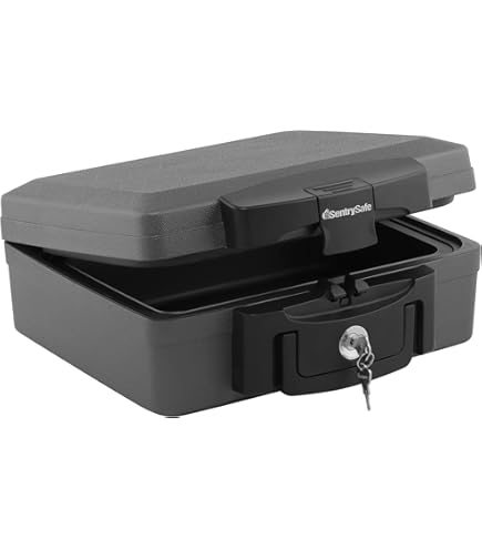 SentrySafe Fireproof/Waterproof Lock and Key Safe, 0.28 cu. ft