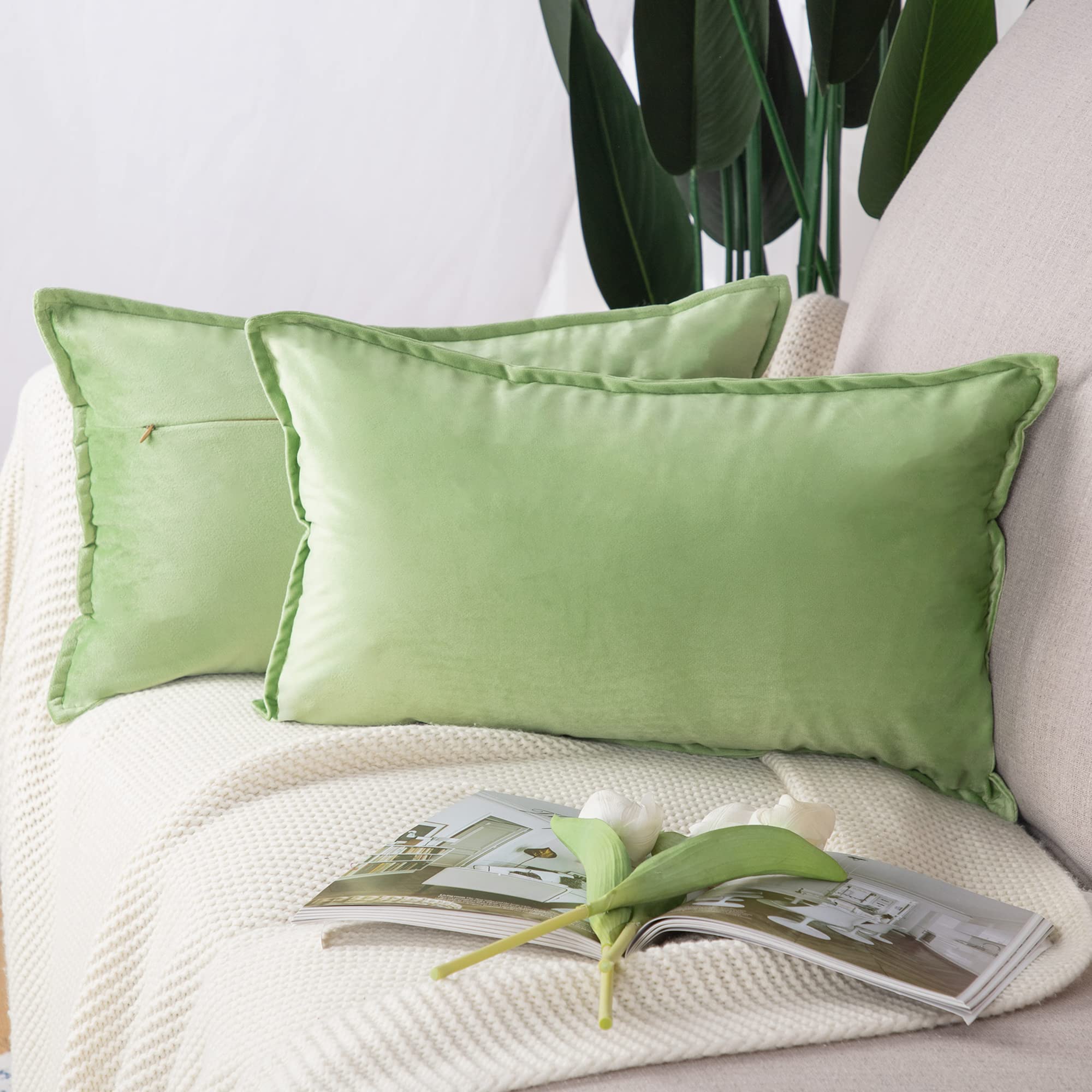 Madizz Pack of 2 Super Soft Velvet Decorative Cushion Covers with Fringe Luxury Style Cushion Case Pillow Shell for Sofa Bedroom Apple Green 12x20 inch, 30x50 cm Rectangular