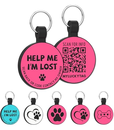 Pay money To my Pain Dog Tag ドッグタグ PTP Official Merch Store OPEN 映画公開記念として Silver 925