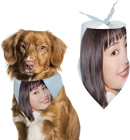 Amazon ペットの猫と犬のスカーフペットのスカーフ三角形のスカーフ唾液タオル洗える猫と犬のスカーフ柔らかく快適で軽くて ペットのスカーフかわいいペットのスカーフ涼しい夏のスタイル広瀬すず ひろせ すず 1 Unbeanded コスチューム 通販