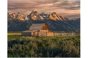 Natuyalo Paint by Numbers for Adults Beginner, National Park Acrylic Paint by Numbers Kits Natural Landscape Craft Kits for Adults Suitable for Home Wall Decoration Flameless 16x20 Inch