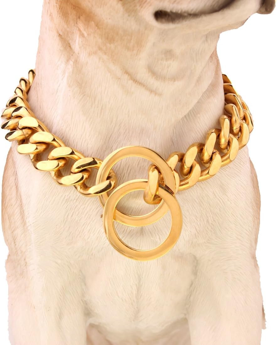 gold choker for dogs