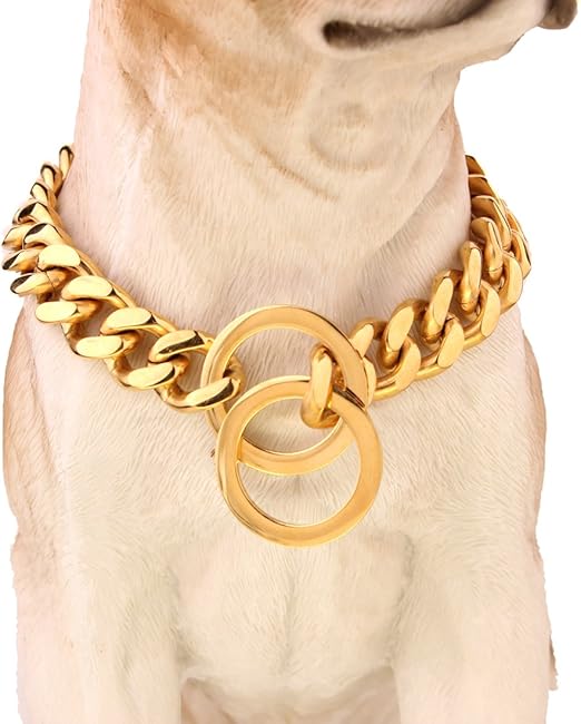 14k gold dog collar