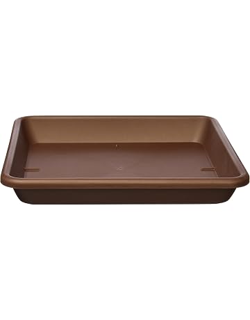 Platillos para plantas | Amazon.es