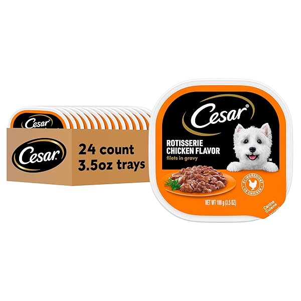 CESAR FILETS IN GRAVY, ADULT WET DOG FOOD, ROTISSERIE CHICKEN FLAVOR, WET FOOD FOR DOGS, 3.5 OZ TRAYS, 24 COUNT