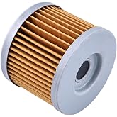 JZGRDN Oil Filter HF569 8000B5425 Compatible with MV Agusta Brutale 800 2013-2017