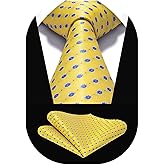 HISDERN Ties for Men Paisley Tie and Pocket Square Woven Classic Floral Mens Ties Handkerchief Set Wedding Party Necktie