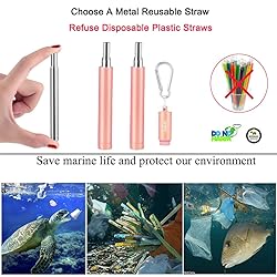 2 Pack Reusable Metal Straws Collapsible Stainless