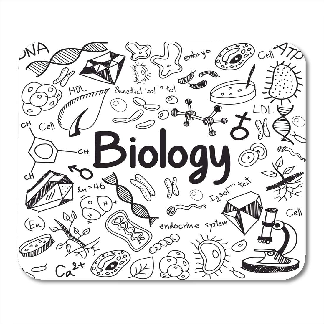 Amazon Com Emvency Mouse Pads Biology Science Theory Doodle And