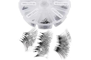 WENDY LASHES Premade Fans Eyelash Extension 500 Fans Handmade Loose Volume Lashes Mutiple Options 10D Pre-made Fans 0.07mm Thickness C/D Curl 9-16mm/13-20mm Volume Eyelash Extensions by WENDYLASHES