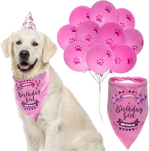 birthday girl bandana for dogs