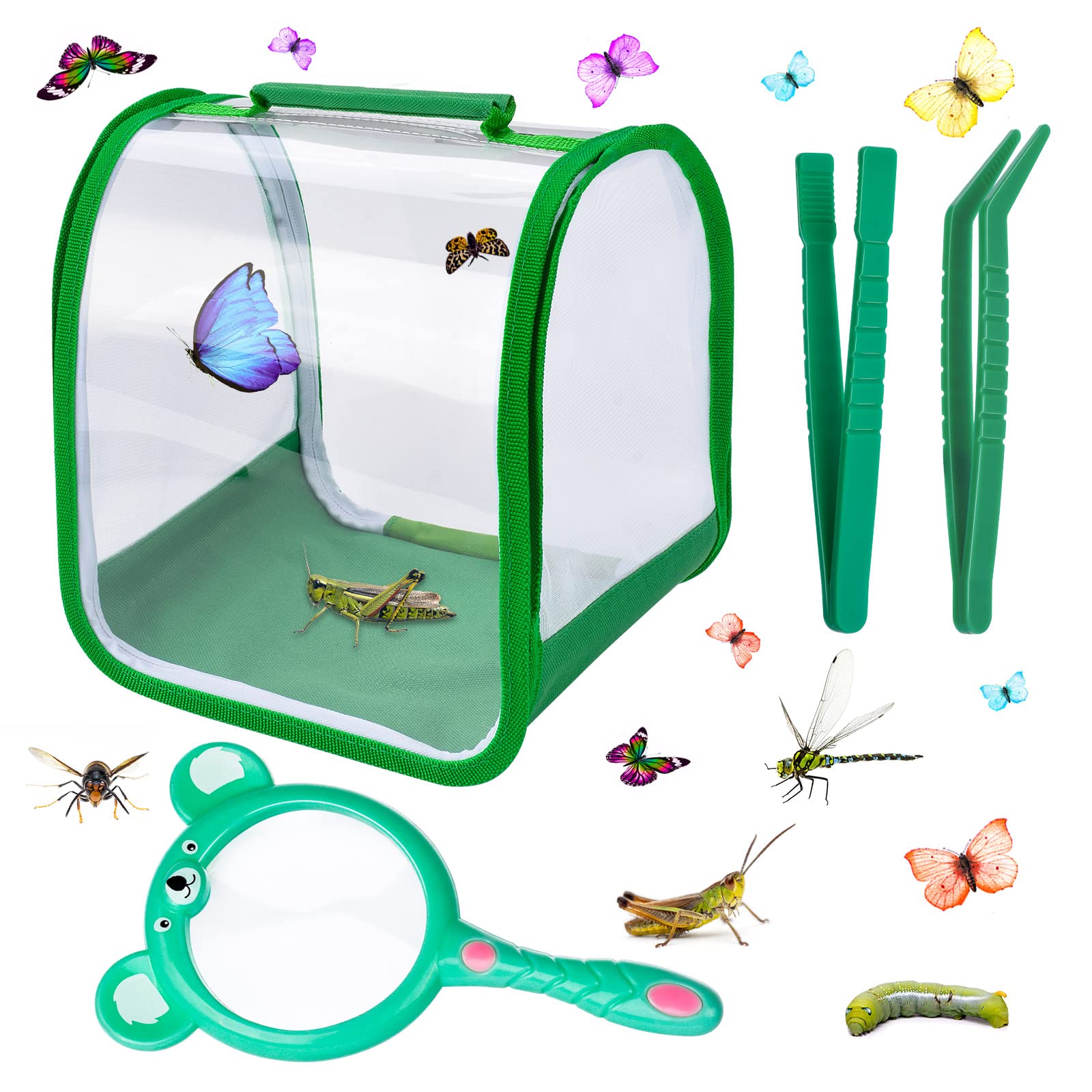 Photo 1 of Butterfly Growing Kit for Kids for Outdoor Explorer