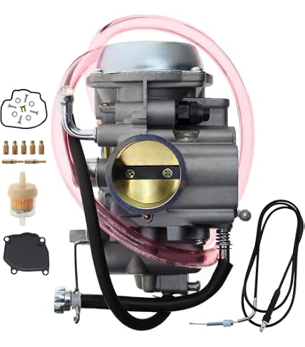 Amazon.com: SVKZGFZ Carburetor for Arctic Cat 250 (99-01) 300 (98