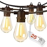 addlon 25FT LED Outdoor String Lights with Edison