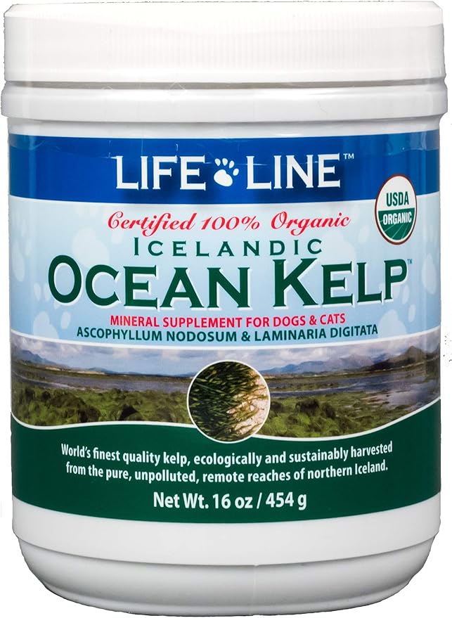 ocean kelp for dogs