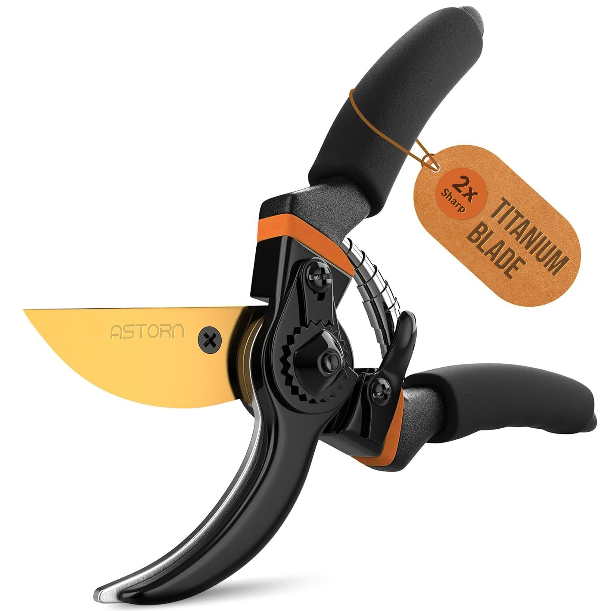 Premium Bypass Pruning Shears for Gardening, 3/4 Inch Cutting Capacity Titanium-Coated SK5 Blade Hand Pruners with Ergonomic Non-Slip Grip, Heavy Duty Garden Clippers for Roses, Trees, Plants