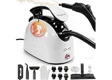 Waitbird 300°F Steam Cleaner Steamer