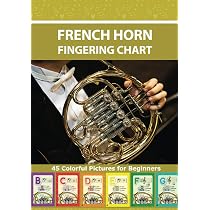 thumbnail image 2 of Double French Horn F/Bb 4-Key Nickel Plated - Complete Set With Case & Accessories 2 of 14