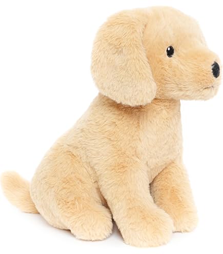 Amazon.com: Adventure Planet Golden Retriever Dog Heirloom Floppy