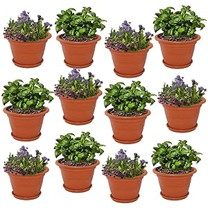 Meded Siti Plast 12 inch Heavy Duty Plastic Garden Planters Pots with Bottom Tray (Pack of 12) Colour - Terracotta