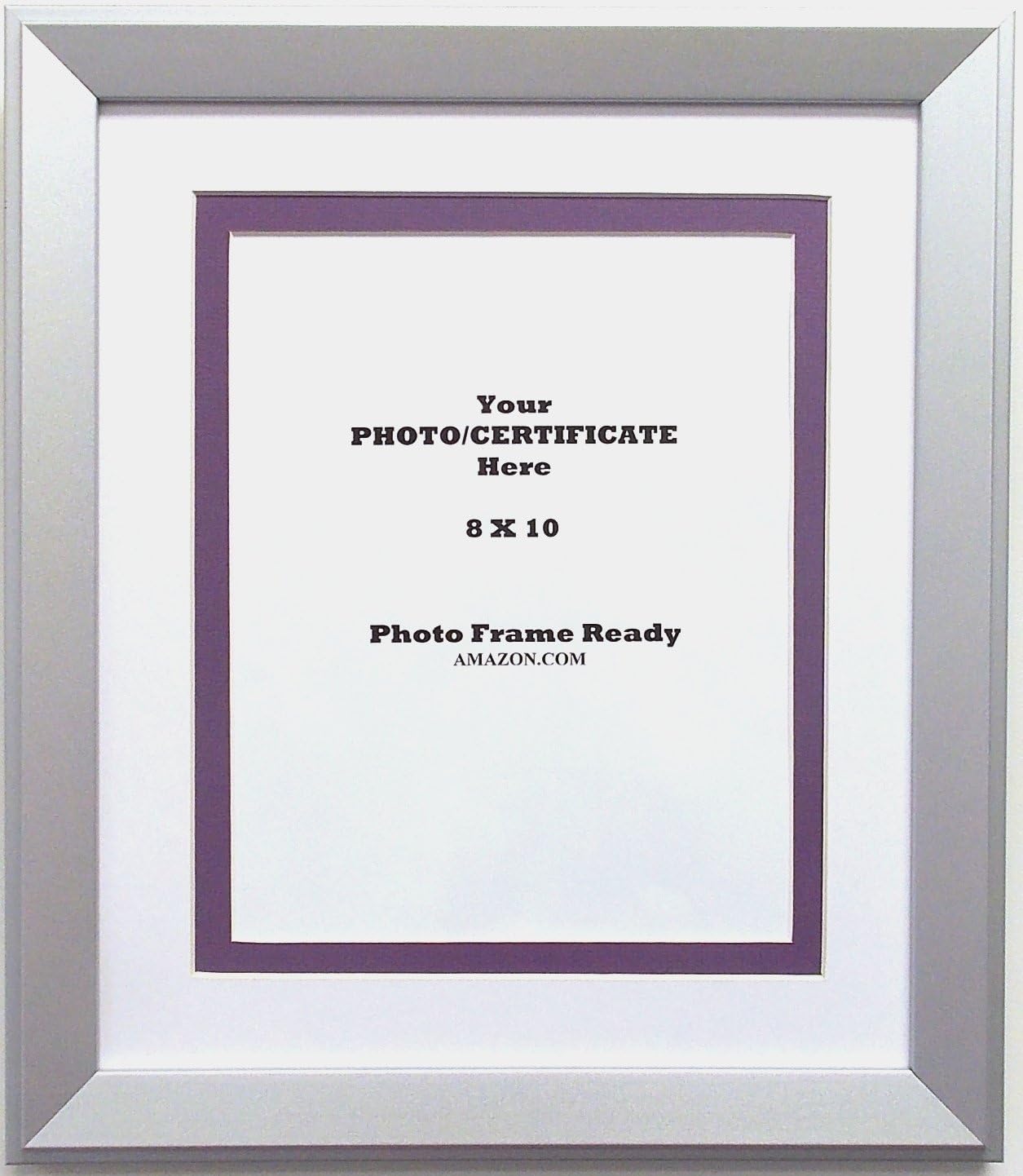 Wall Mount Photo Frame with Etched Silver Wood Moulding