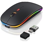 FYBC Bluetooth LED Wireless Mouse for MacBook Air iPad Pro Mac Laptop PC - Slim RGB Wireless Mouse, 3 Mode BT 5.2 & 2.4G USB-A/Type-C Connectivity Portable Mice with Jiggler Mode, Matte Black