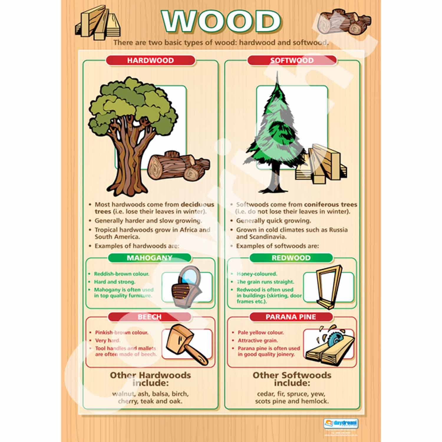 Natural Timber | Design & Technology Posters | Laminated Gloss Paper measuring 850mm x 594mm (A1) | Design and Technology Classroom Posters | Education Charts by Daydream Education