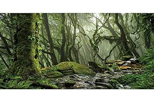 AWERT Foggy Forest Terrarium Background Stream Green Huge Tree Reptile Habitat Background Tropical Rainforest Aquarium Background 36x20 inches Durable Polyester Background